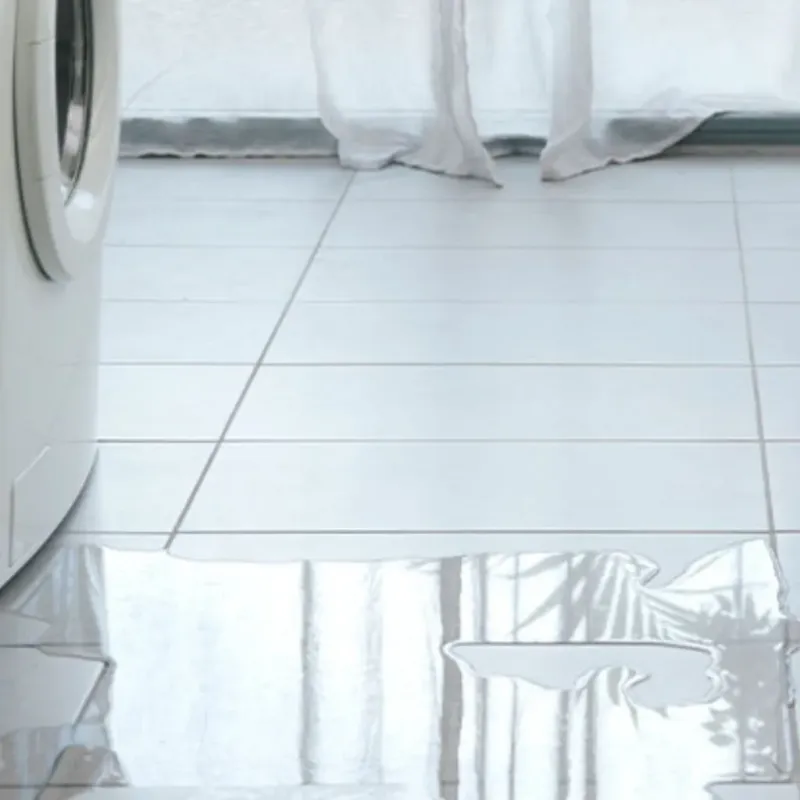 Appliance Leak Cleanup in Wenatchee, WA